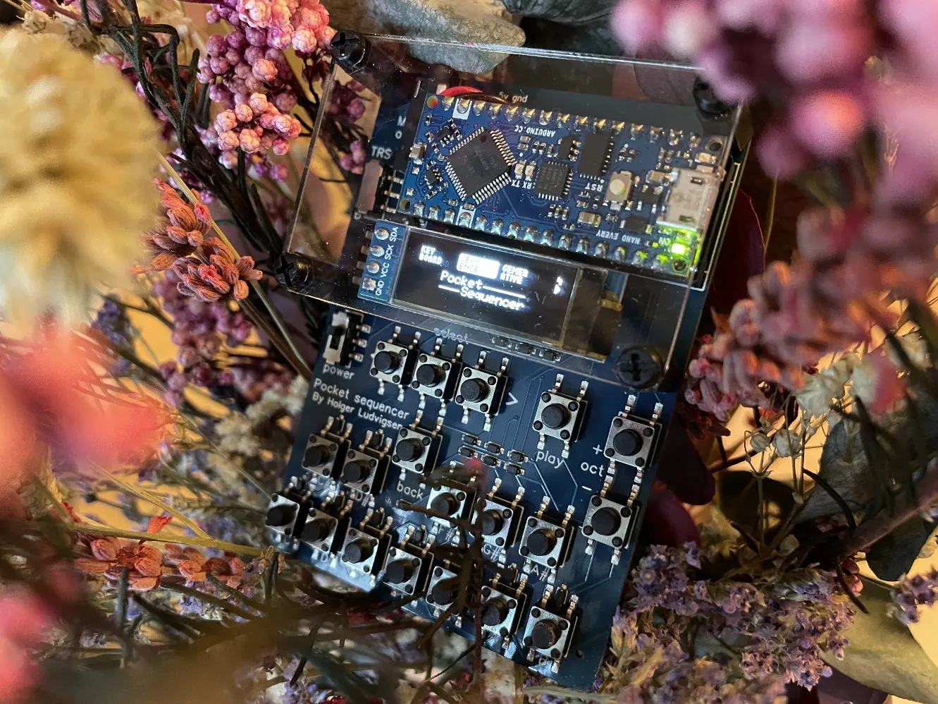 Pocket Sequencer among flowers